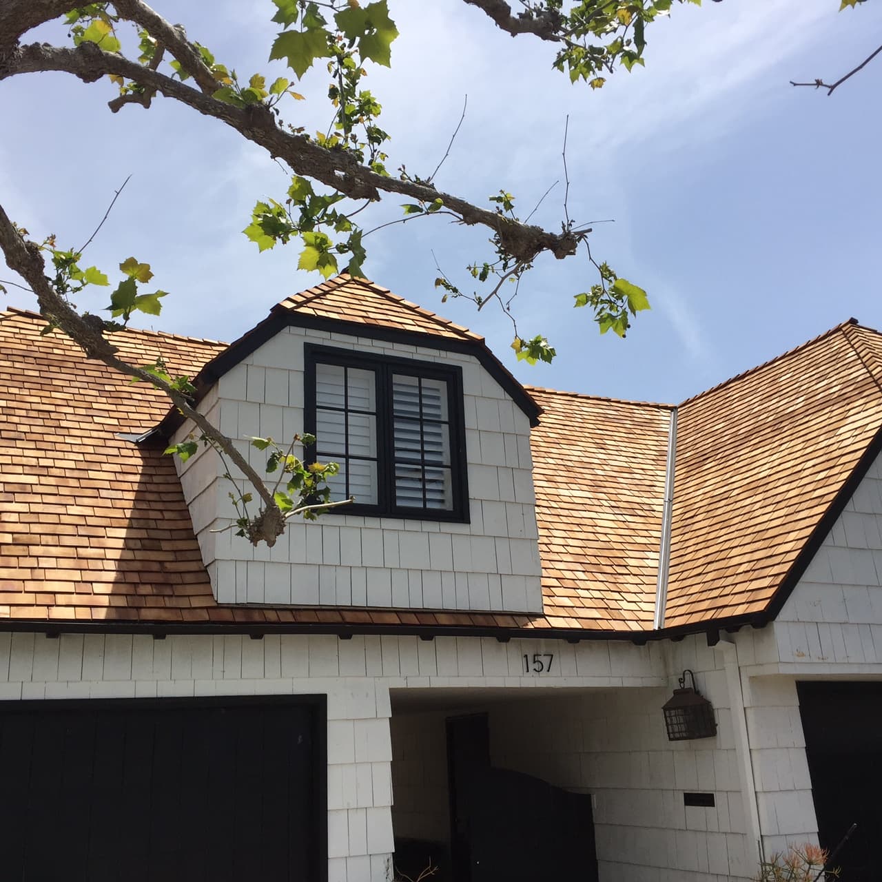 Home with Beautiful Roof